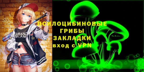 гидра Мегион