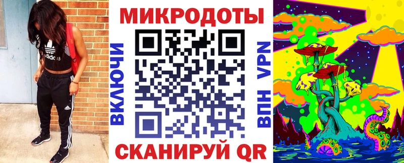 Купить где  Щучье  Псилоцибиновые грибы MAGIC MUSHROOMS